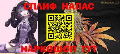 сатива Краснодар