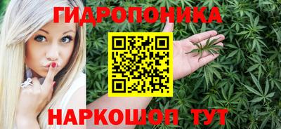 МДПВ Боровичи