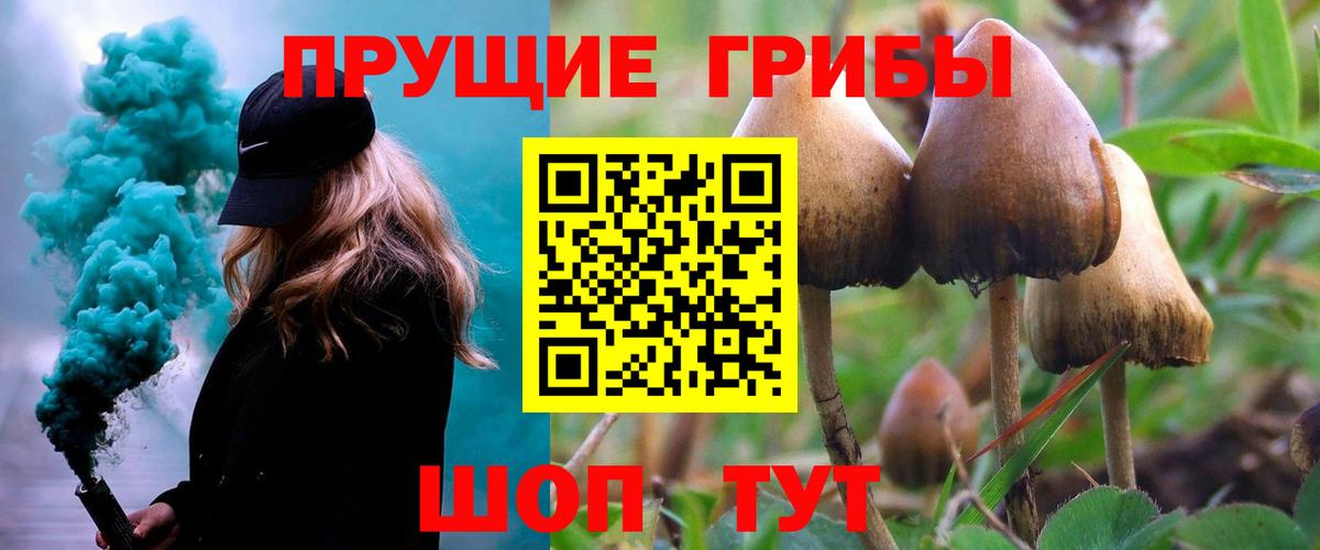 Псилоцибиновые грибы Psilocybe  Вход с VPN  Галлюциногенные грибы Cubensis  Каменка 
