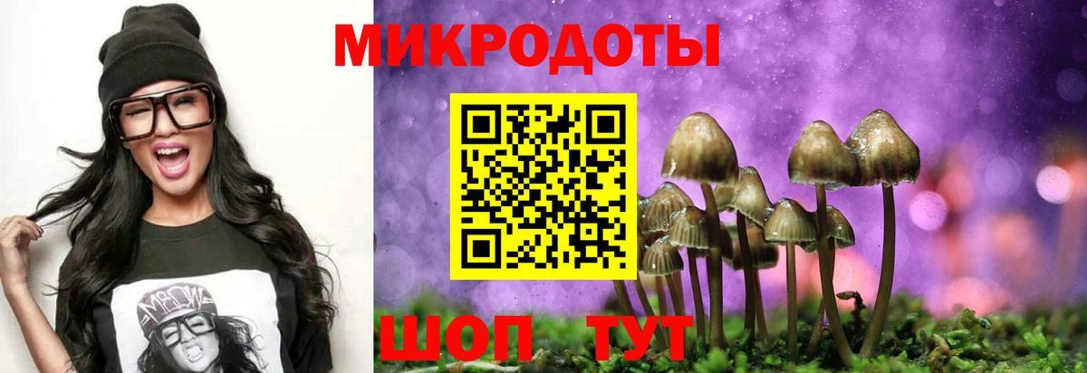 Галлюциногенные грибы MAGIC MUSHROOMS Каменка